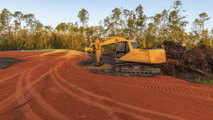 What to Look for When Choosing a Tree Service for Land Clearing