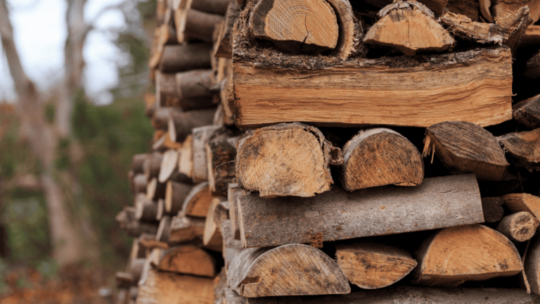 Everything You Need To Know About Phils Firewood in Philadelphia